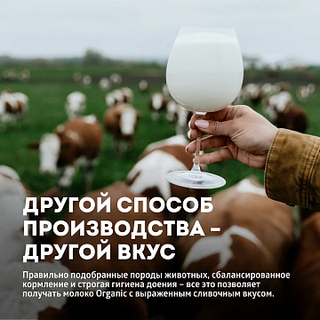 Молоко Эконива ультрапастеризованное 3.2%, 1л