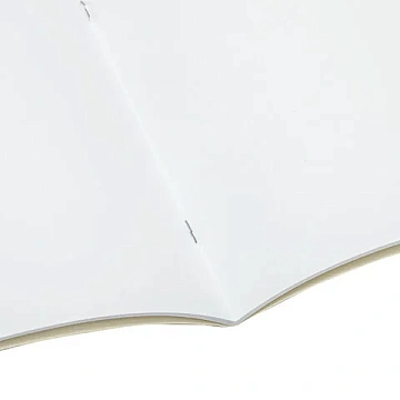 Альбом для рисования А4, 32 л., скоба, обложка картон, BRAUBERG, 202х285 мм, 'Тигр' (1 вид), 105610