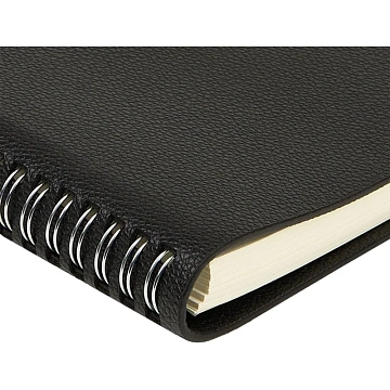 Ежедневник недатированный А5 ALBA черный, 136л 3-783/01