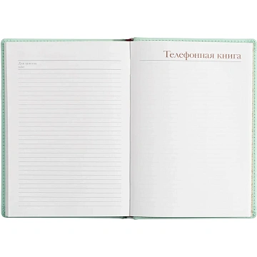 Ежедневник недатированный А5+, 136л, Velvet зефирный мятный 3-115/36