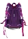 Рюкзак Pulse BACKPACK ANATOMIC PURPLE COOL, 41х28х20 см