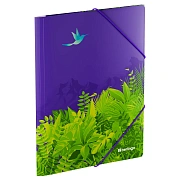 Папка на резинке Berlingo 'Flower Art' А4, 600мкм, с рисунком