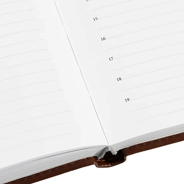 Ежедневник недатированный коричн, А5, 148x218, 352стр, Agenda