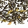 Чай Niktea Silver Jasmine (Серебряный Жасмин), зеленый, листовой, 250г