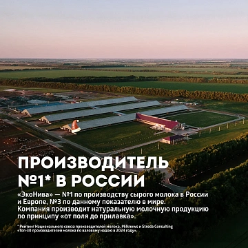 Сыр Эконива Сулугуни 45%, 300г