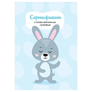 Сертификат о профилактических прививках OfficeSpace, 8л., А6 (105*148мм), форма 156/у-93, блок офсет