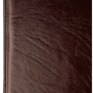 Ежедневник недатированный Attache Selection Gloss, А5,160л., корич,нат.кожа