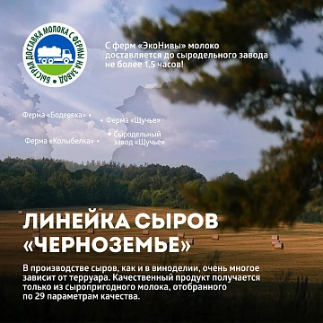 Сыр Эконива Колыбельский полутвердый 45%, 200г