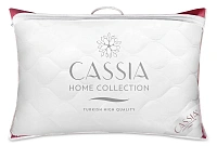 Cassia
