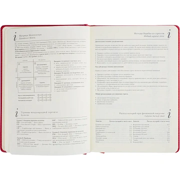 Ежедневник недатированный А5+ CLASSIC иск.кожа КРАСНЫЙ 3-689/04