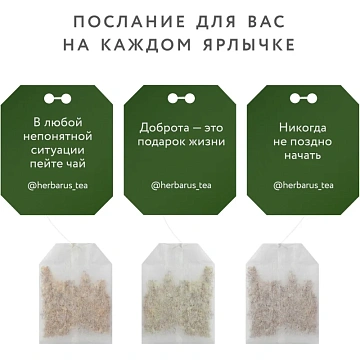 Чай Herbarus, Восстановление Отдых, 24 пак