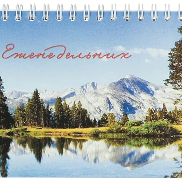 Планинг недатированный 295х100 56 л.Пт 4603721416431