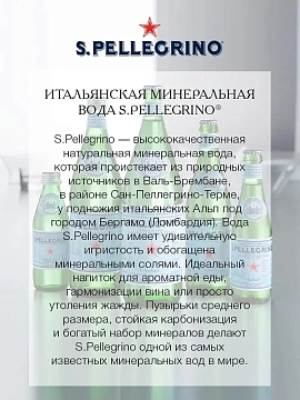 Вода Sanpellegrino минеральная газированная, 750мл x 15 шт
