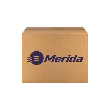 Моющий концентрат для посуды Merida Люкс 5л, В4Р