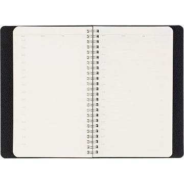 Ежедневник недатированный А5 ALBA черный, 136л 3-783/01