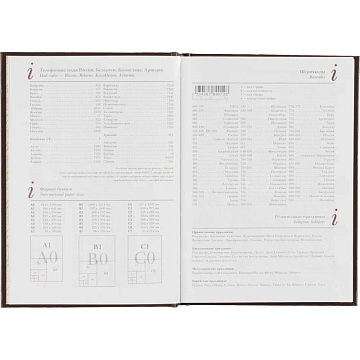 Ежедневник недатированный А5+ Ideal, коричневый 3-122/02