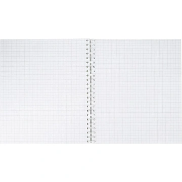 Бизнес-тетрадь Цветы А5 96л,клетка,обл. мел,картон, спираль,гол