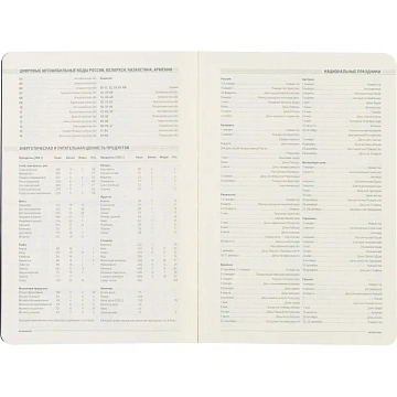 Ежедневник недатированный А5, 136л, MEGAPOLIS FLEX бордовый 3-531/02