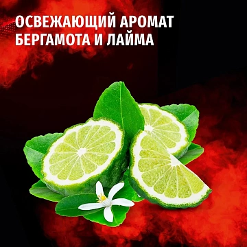 Дезодорант-аэрозоль Фа Men Сила притяжения, 150мл