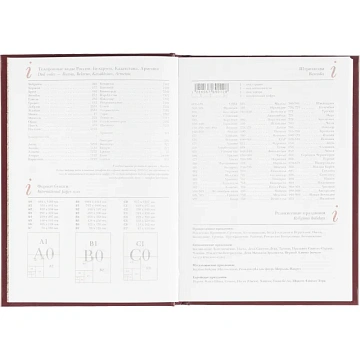 Ежедневник недатированный А5, Ideal бордовый 136л. 3-122/04 3-122/04