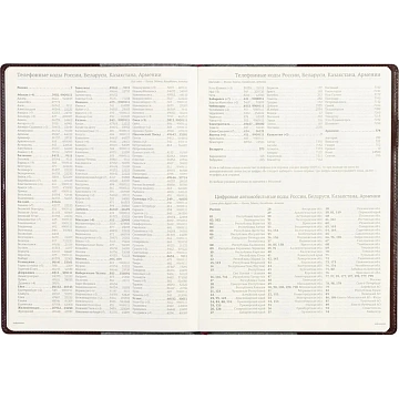 Еженедельник недатированный коричнев,A4,222х302мм,64л,Br.V.PROFY 3-098/03