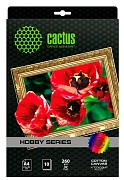 Холст Cactus CS-CA426010 A4/260г/м2/10л. для струйной печати