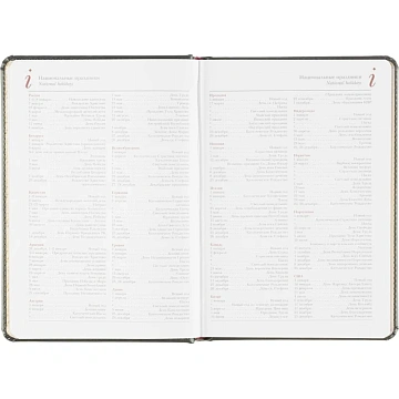 Ежедневник недатированный серый,А5,145х205мм,136л, Sidney NEBRASKA 3-128/09