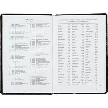 Ежедневник недатированный черн, А6, 100x150, 320стр, Agenda