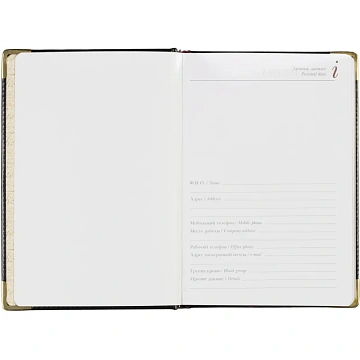 Ежедневник недатированный А5+, 145х205,Sidney Nebraska,чер,з.уг 3-128/17