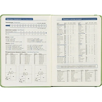 Ежедневник недатированный зеленый, А5 136 л., Dairy, ATTACHE