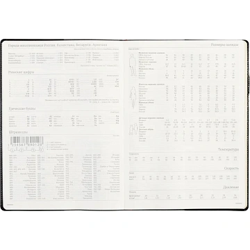 Еженедельник недатированный черный,кожа,A4 64л,Br.V.PROFY 3-098/02