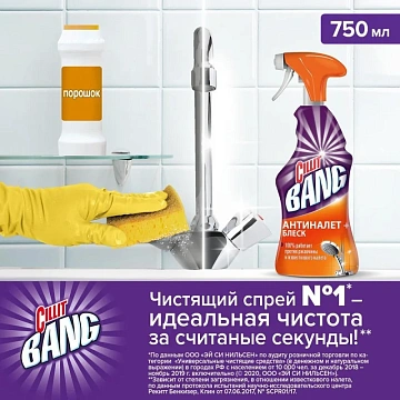 Чистящее средство 750 мл, CILLIT BANG 'Антиналет + Блеск', универсальное, распылитель