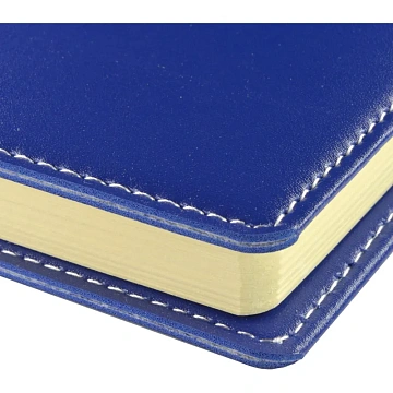 Ежедневник недатированный А5 METROPOL (СИНИЙ)3-491/01