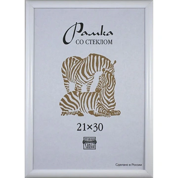 Рамка пластиковая А 4 белого цвета 500