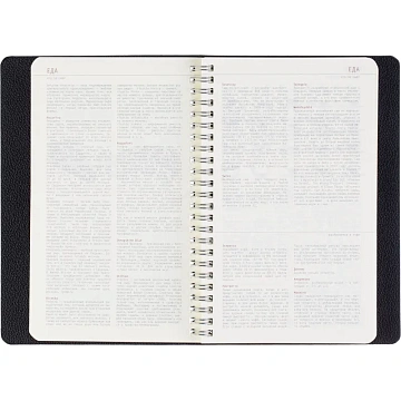 Ежедневник недатированный А5 ALBA черный, 136л 3-783/01