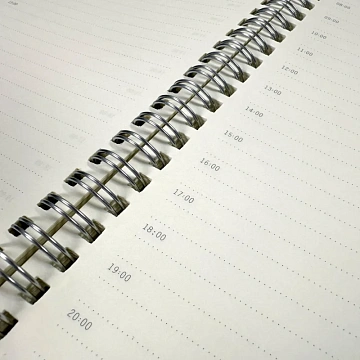 Ежедневник недатированный А5 ALBA черный, 136л 3-783/01