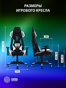 Кресло игровое Cactus CS-CHR-090BLW черный/белый эко.кожа/сетка крестов. нейлон