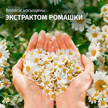 Шампунь Herbal Essences Гладкие и блестящие ромашка, 350мл
