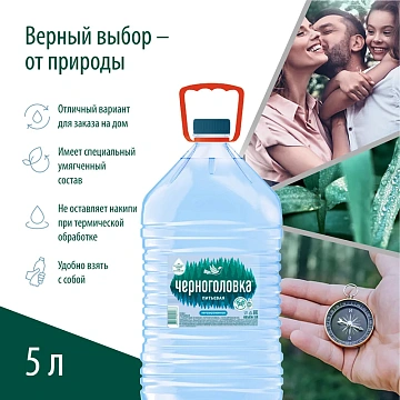 Вода Черноголовка природная питьевая негазированная, 5л