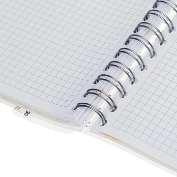 Бизнес-тетрадь 120л,клетка,А4 Flora 1,пласт.обл,серебр.спир,3раздел,линейка