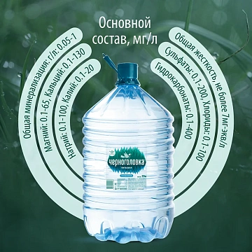 Вода Черноголовка питьевая негазированная, 19л