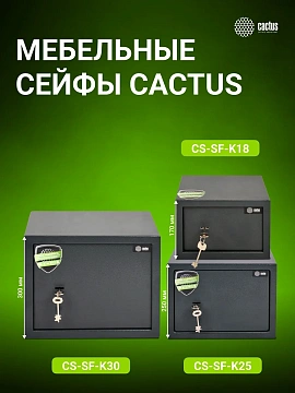 Сейф Cactus CS-SF-K25 250x350x250мм, ключевой
