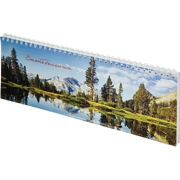 Планинг недатированный 295х100 56 л.Пт 4603721416431