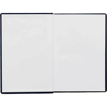 Ежедневник недатированный синий, А5, 148x218, 352стр, Agenda