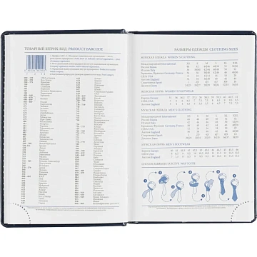 Ежедневник датированный 2026, синий,А6, 100х150 мм,336 стр,Agenda