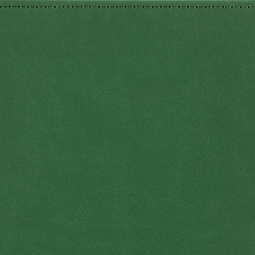 Ежедневник недатированный А5+, 136л, VELVET зеленый  3-115/05