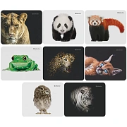 Коврик для мыши Defender Wild Animals 220*180*2мм, ассорти 8 видов