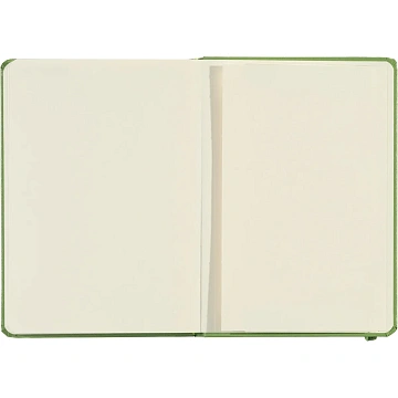 Ежедневник недатированный зеленый, А5 136 л., Dairy, ATTACHE
