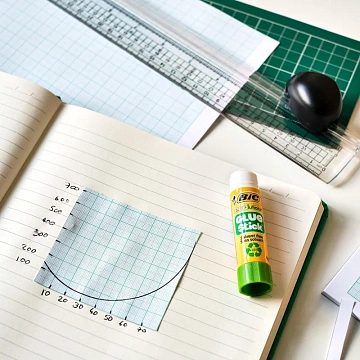 Клей-карандаш BIC 'ECOlutions', 21 г, 8923452