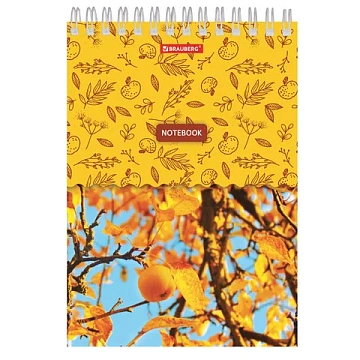 Блокнот А5, 146х205 мм, 60 л., гребень, картон, жесткая подложка, клетка, BRAUBERG, 'Четыре сезона',